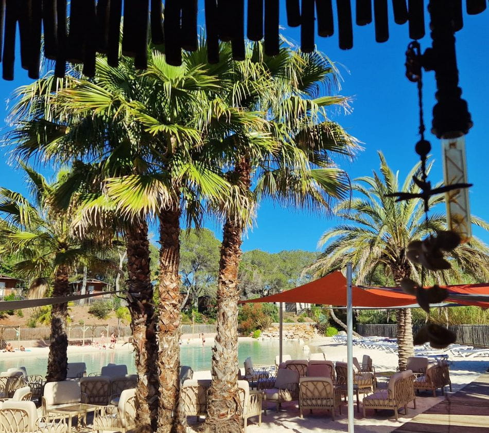 436227855_856297383198783_4865821832862059689_n